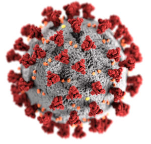 3D-Grafik des SARS-CoV-2-Virions (Quelle: Wikipedia)